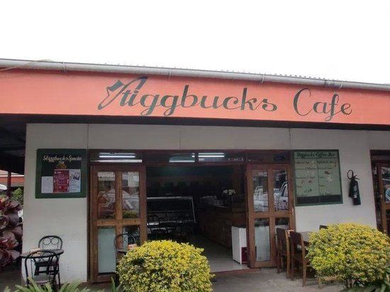 Stiggbucks Cafe